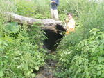Culvert Crossing, Caribou, Maine