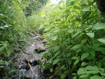 Culvert Crossing, Caribou, Maine