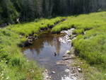 Culvert Crossing, Westmanland, Maine