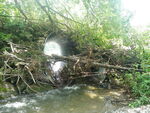 Unknown Crossing, Gray Brook, Fort Fairfield, Maine