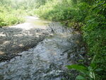 Unknown Crossing, Gray Brook, Fort Fairfield, Maine