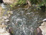Multiple Culvert Crossing, Mile Brook, Caribou, Maine