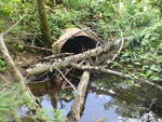 Culvert Crossing, Presque Isle, Maine
