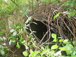 Culvert Crossing, Perham, Maine