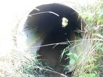 Multiple Culvert Crossing, Everett Brook, Fort Fairfield, Maine