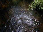 Multiple Culvert Crossing, New Sweden, Maine