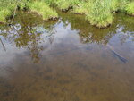 Multiple Culvert Crossing, New Sweden, Maine