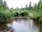 Multiple Culvert Crossing, McClusky Brook, Westmanland, Maine