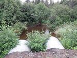 Multiple Culvert Crossing, McClusky Brook, Westmanland, Maine