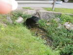 Culvert Crossing, Caribou, Maine