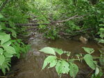 Culvert Crossing, Mapleton, Maine