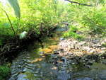 Culvert Crossing, Durepo Brook, Limestone, Maine