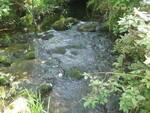 Culvert Crossing, Durepo Brook, Limestone, Maine