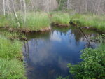 Culvert Crossing, Little Black Stream, Connor Twp, Maine