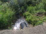 Culvert Crossing, Washburn, Maine
