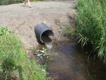Culvert Crossing, Washburn, Maine