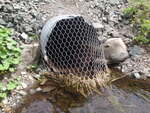 Culvert Crossing, Woodland, Maine