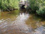 Culvert Crossing, Stockholm, Maine