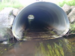 Culvert Crossing, Otter Brook, Caribou, Maine
