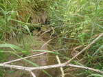 Culvert Crossing, Fort Fairfield, Maine