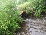 Culvert Crossing, New Sweden, Maine