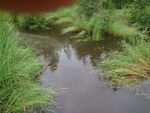 Culvert Crossing, New Sweden, Maine