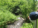 Culvert Crossing, Presque Isle, Maine