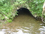 Culvert Crossing, Presque Isle, Maine