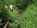 Culvert Crossing, Presque Isle, Maine