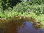 Culvert Crossing, Limestone, Maine