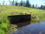 Culvert Crossing, Limestone, Maine