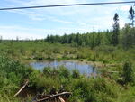 Culvert Crossing, Limestone, Maine
