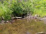 Multiple Culvert Crossing, Woodland, Maine
