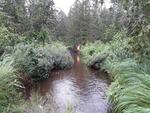 Culvert Crossing, Mud Brook, Westmanland, Maine