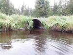 Culvert Crossing, Mud Brook, Westmanland, Maine