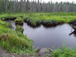 Culvert Crossing, Mud Brook, Westmanland, Maine