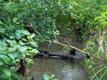 Culvert Crossing, Perham, Maine
