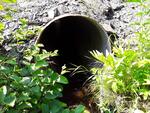 Culvert Crossing, Madawaska Lake Twp, Maine
