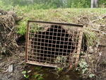 Culvert Crossing, Fort Fairfield, Maine