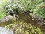 Culvert Crossing, Limestone, Maine
