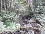 Culvert Crossing, New Sweden, Maine