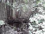 Culvert Crossing, New Sweden, Maine