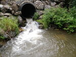 Culvert Crossing, Presque Isle, Maine