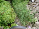 Culvert Crossing, Presque Isle, Maine