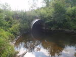 Culvert Crossing, Clayton Brook, Washburn, Maine
