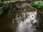 Culvert Crossing, Glidden Brook, Presque Isle, Maine