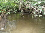 Culvert Crossing, Glidden Brook, Presque Isle, Maine
