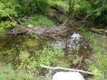 Culvert Crossing, Moore Brook, Caribou, Maine