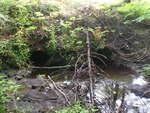 Multiple Culvert Crossing, Mapleton, Maine