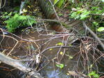 Multiple Culvert Crossing, Mapleton, Maine